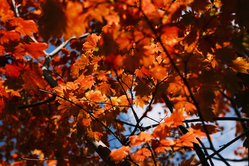 R5.10.29_北海道大学④