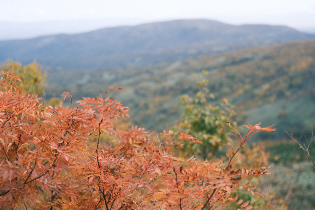 R5.10.08_夫婦登山_暑寒別岳⑧