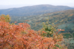 R5.10.08_夫婦登山_暑寒別岳⑧