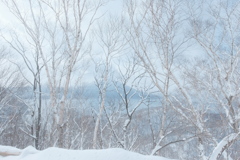 R4.01.30_紋別岳①