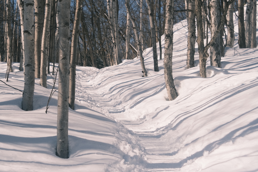 R5.03.05_夫婦登山_藻岩山①