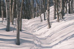 R5.03.05_夫婦登山_藻岩山①