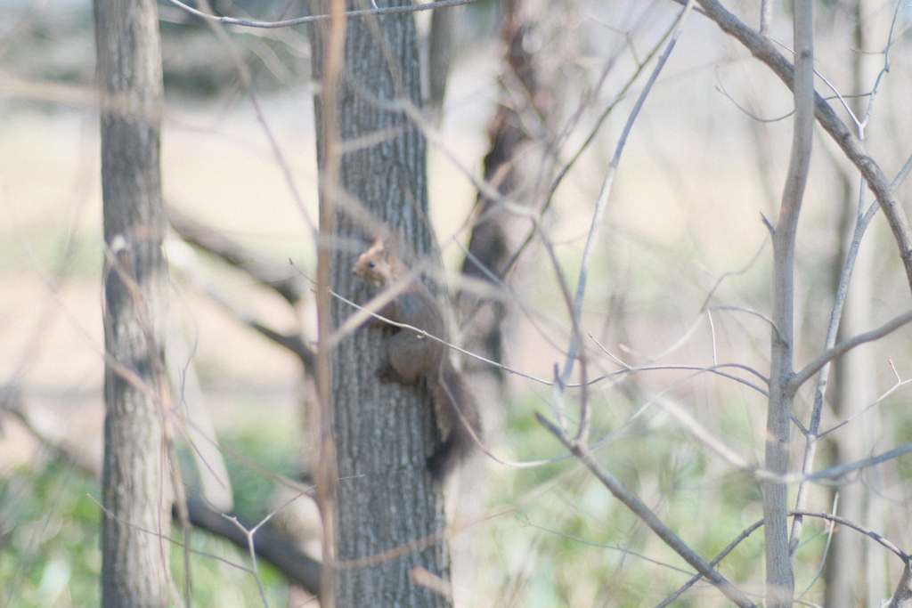 R4.04.30_車内から③