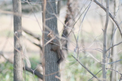 R4.04.30_車内から③