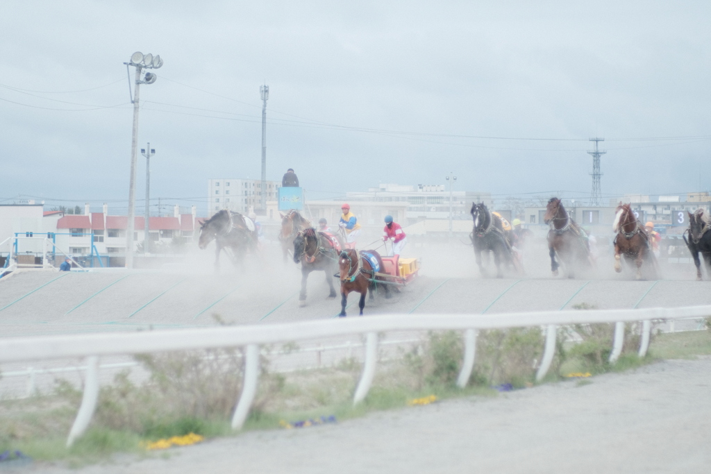 R4.05.01_帯広ばんえい競馬③