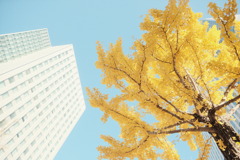 R3.11.06_北海道旧庁舎前①