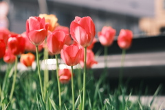 R5.05.07_近場散歩㉑