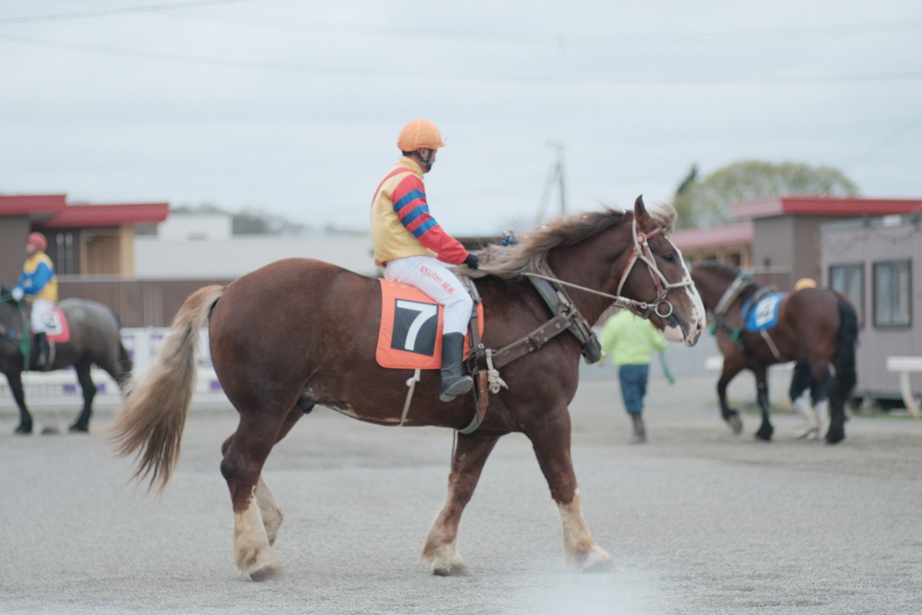 R4.05.01_帯広ばんえい競馬②