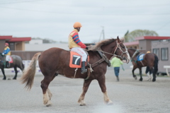 R4.05.01_帯広ばんえい競馬②