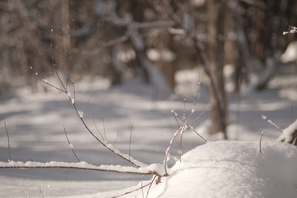 R5.01.08_百松沢山④