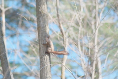 R4.04.30_車内から②