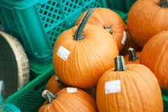 R5.09.17_千歳サーモンパーク⑤