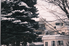 R5.02.25_夕方散歩②