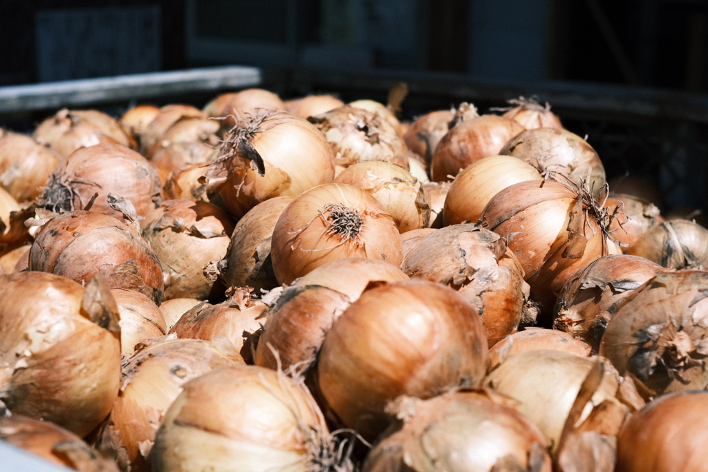 R5.08.15_夫婦・妹北海道知床旅行_最終日