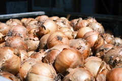 R5.08.15_夫婦・妹北海道知床旅行_最終日