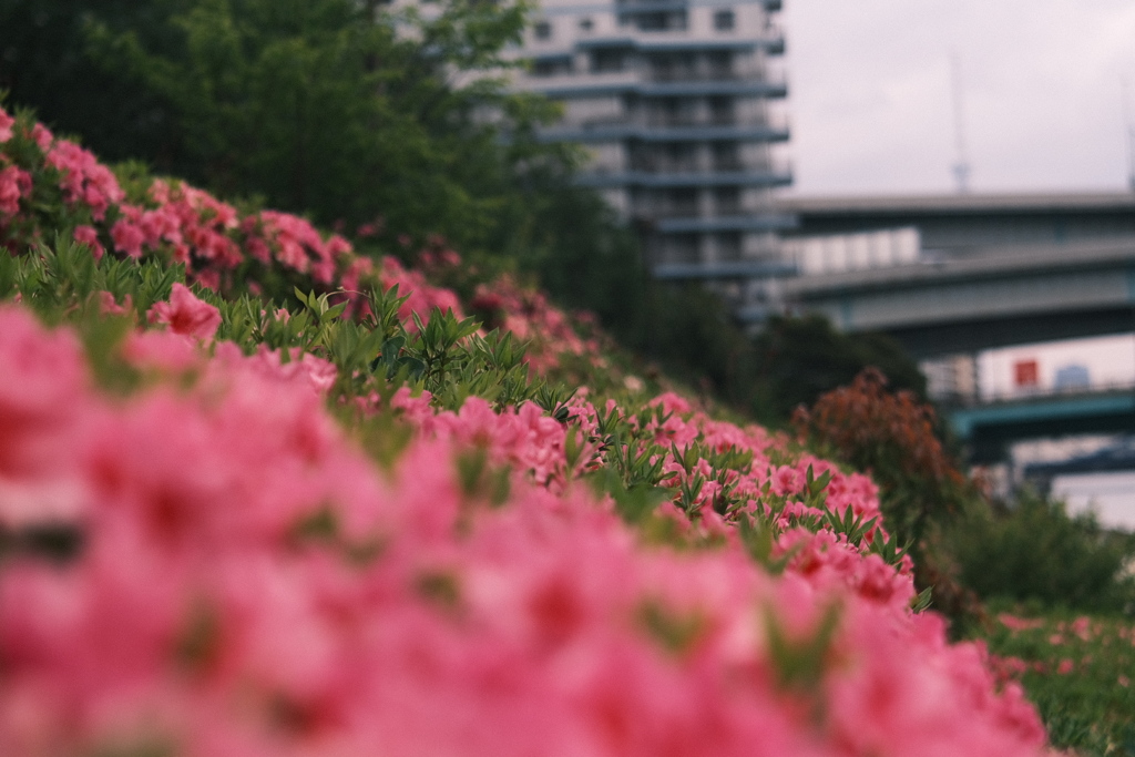 R5.04.25_東京出張2日目①