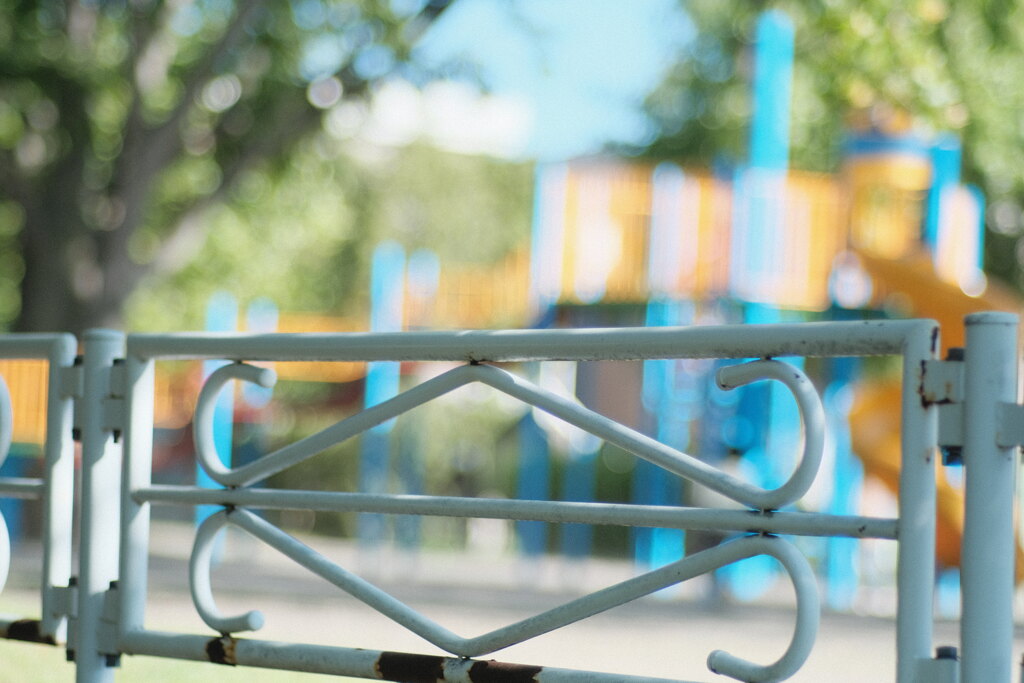 R4.06.12_夫と散歩③