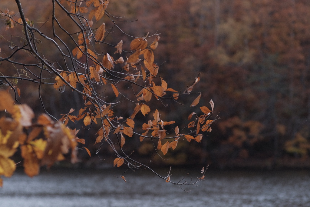 R4.10.30_西岡公園③