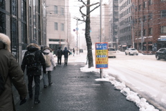 R5.02.04_さっぽろ雪まつり