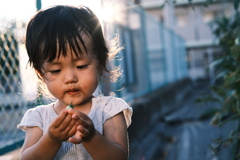 R5.08.19_実家帰省③