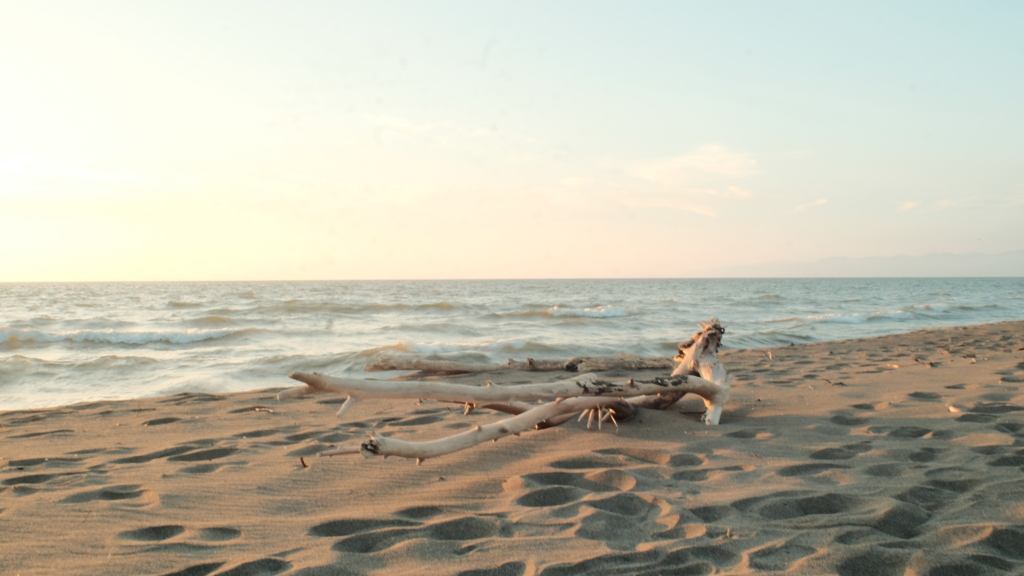 R3.07.31_石狩市はなますの丘③