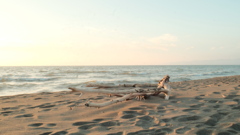 R3.07.31_石狩市はなますの丘③