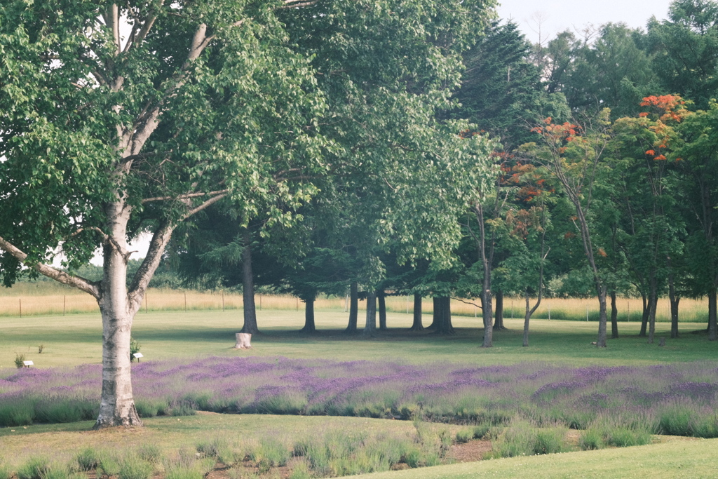 R5.07.04_両親北海道旅行④