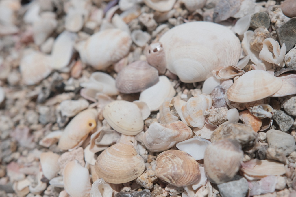 R4.06.07_須磨の海⑥