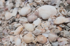 R4.06.07_須磨の海⑥