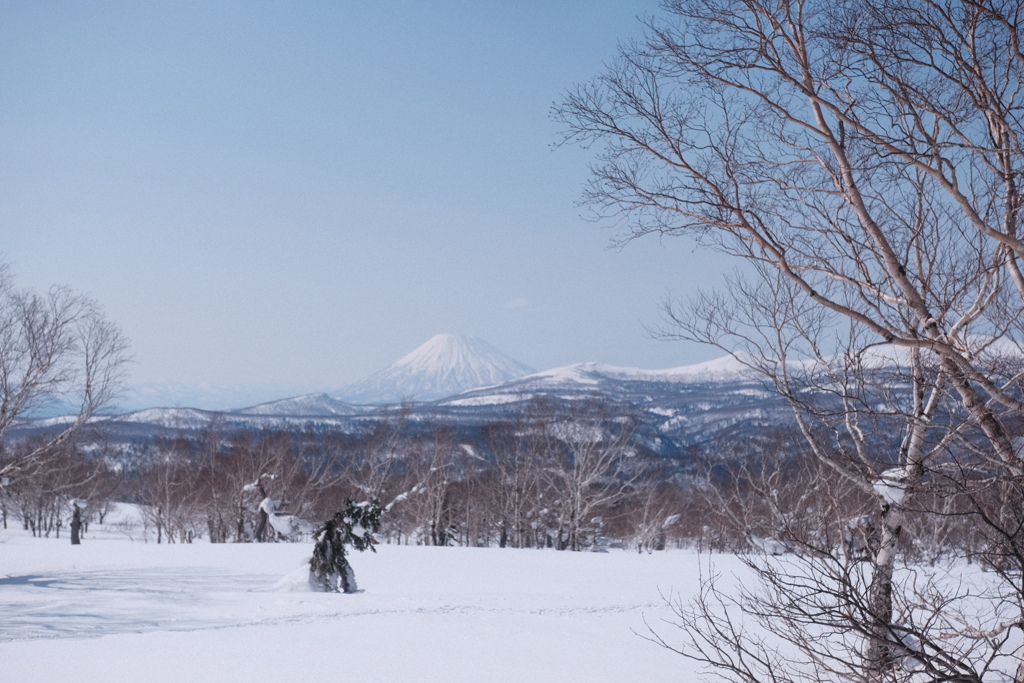 R4.03.13_夫婦登山_札幌岳⑦