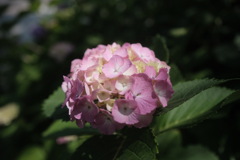 R4.06.03_神戸市内②