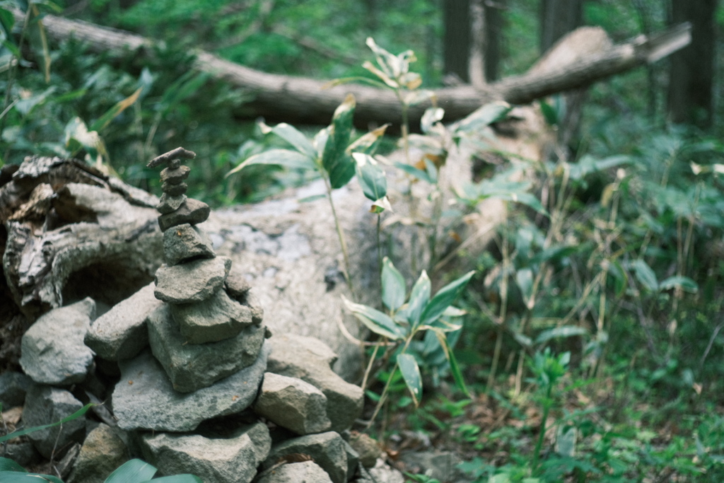 R5.05.14_夫婦登山_八剣山③