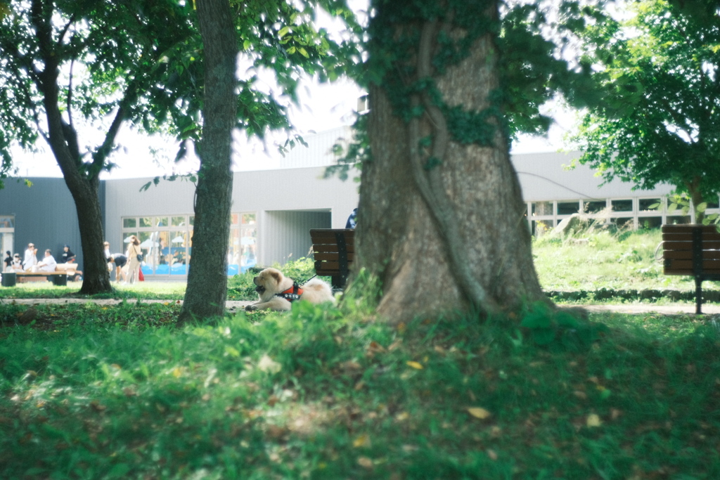 R5.09.17_サーモンパーク④