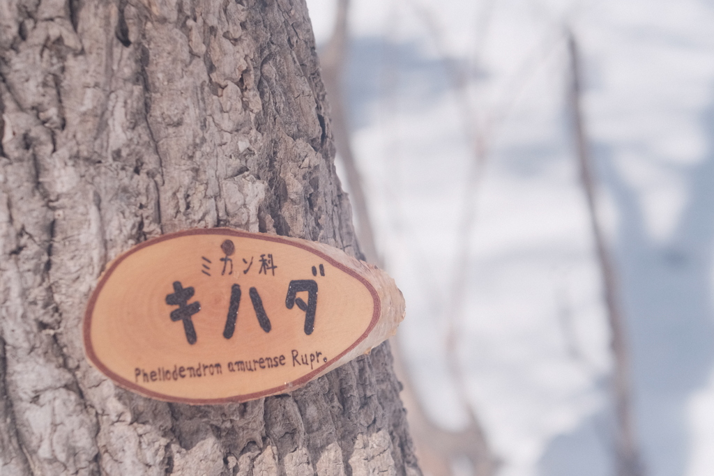 R4.03.27_西岡公園⑤