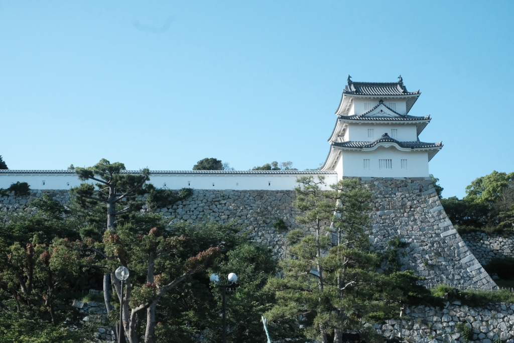 R3.05.31_生まれ育った町明石