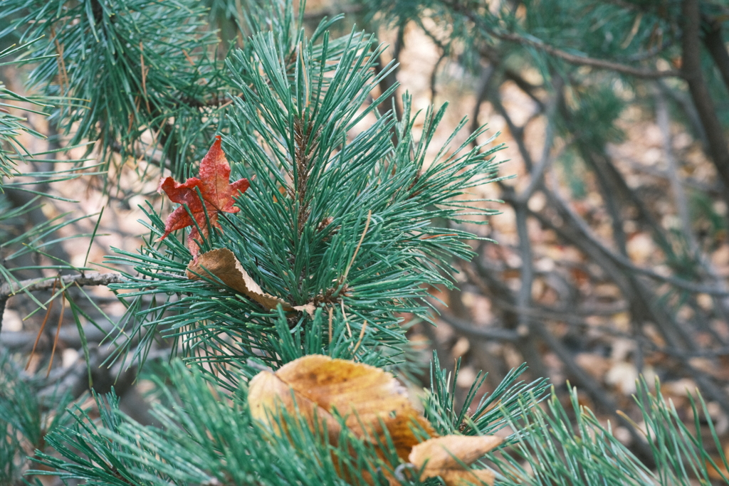 R5.10.29_北海道大学⑧
