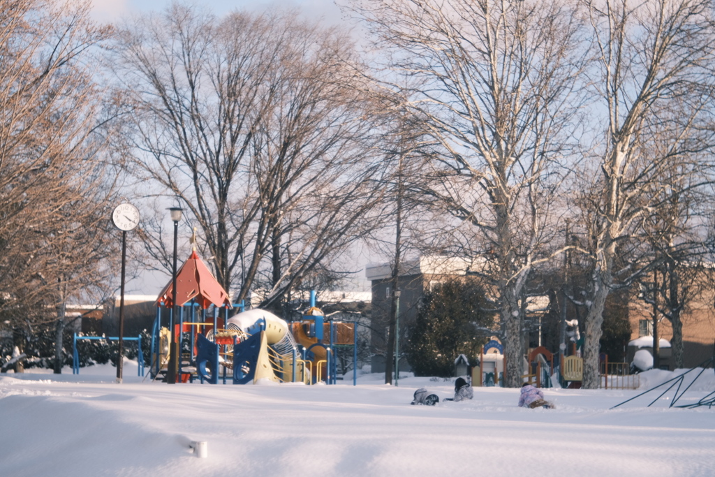 R5.02.22_夕方散歩①