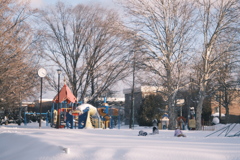 R5.02.22_夕方散歩①