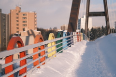 R5.02.22_夕方散歩②