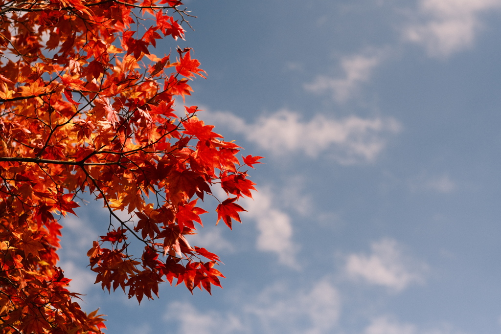 R5.10.29_北海道大学②