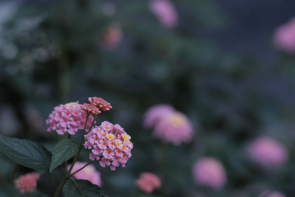 R4.06.16_出張4日目②