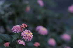 R4.06.16_出張4日目②