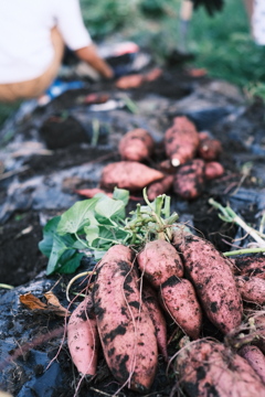 R5.08.19_実家帰省④