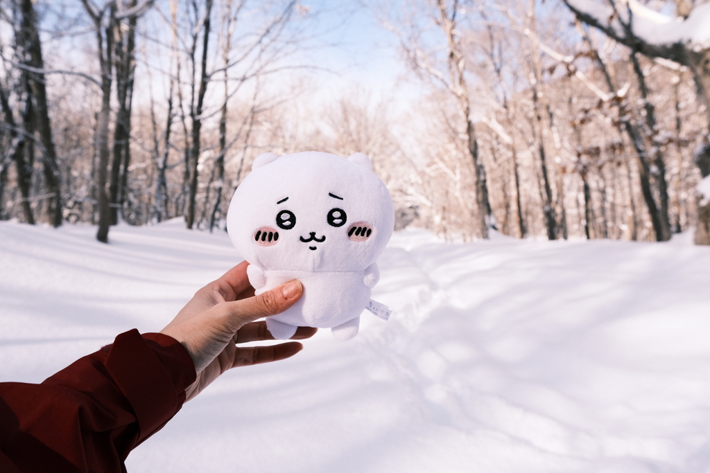 R6.02.10_夫婦登山_八剣山①