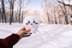 R6.02.10_夫婦登山_八剣山①