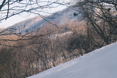 R5.03.05_夫婦登山_藻岩山④