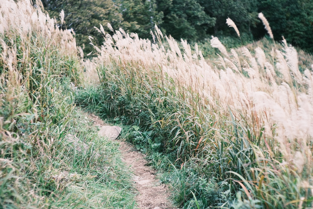 R5.09.30_夫婦登山_藻岩山⑧