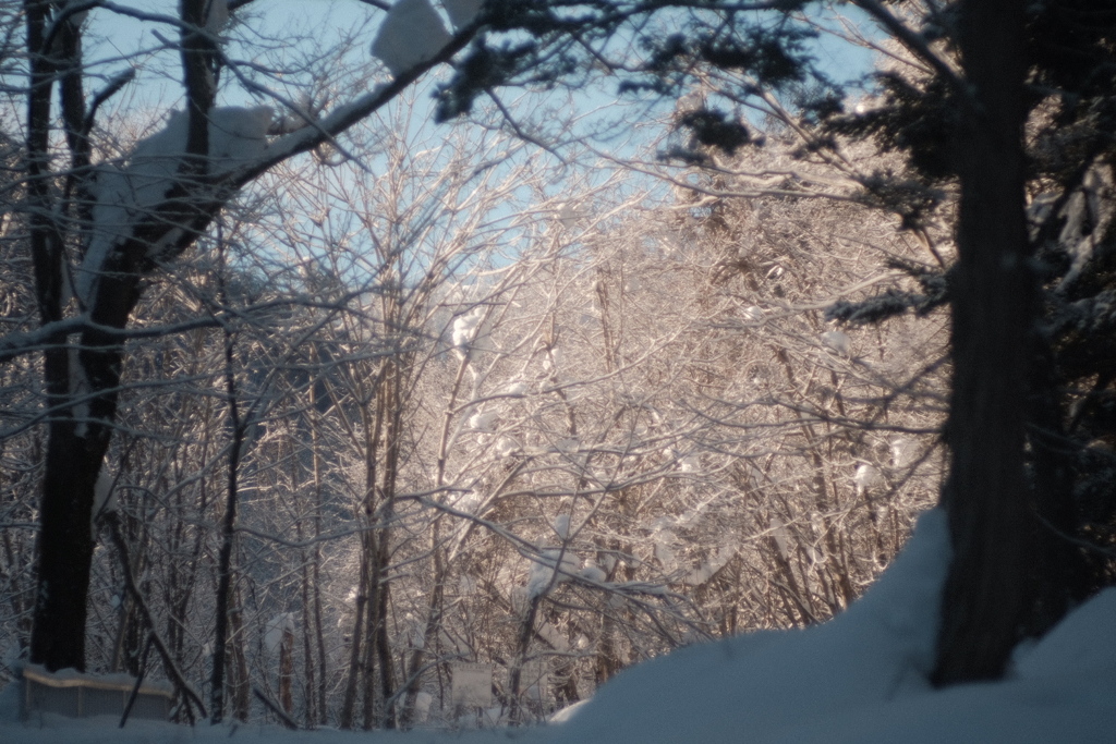 R5.01.08_百松沢山⑤