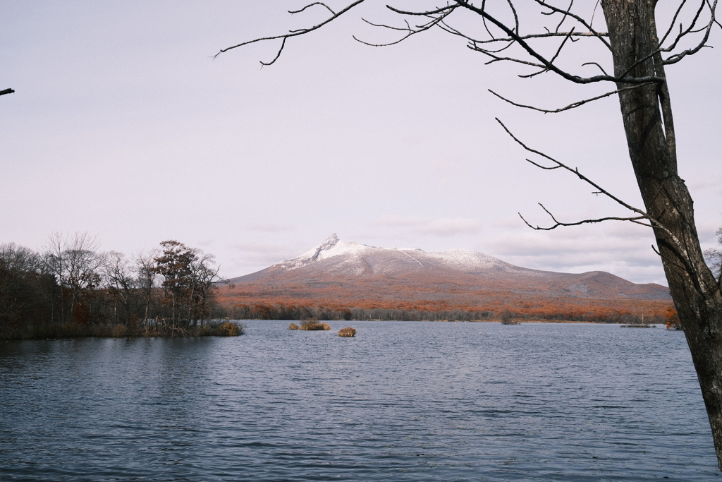 R7.11.08_夫婦温泉旅行in函館⑤
