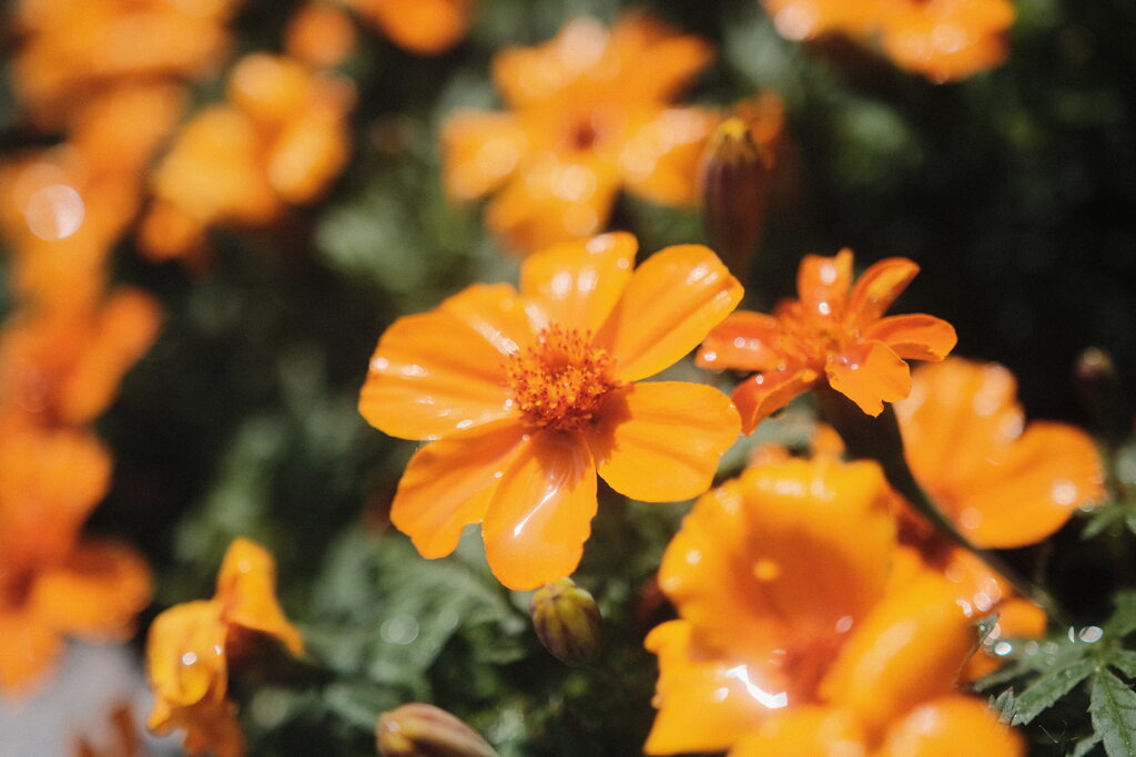 R4.06.03_神戸市内⑧